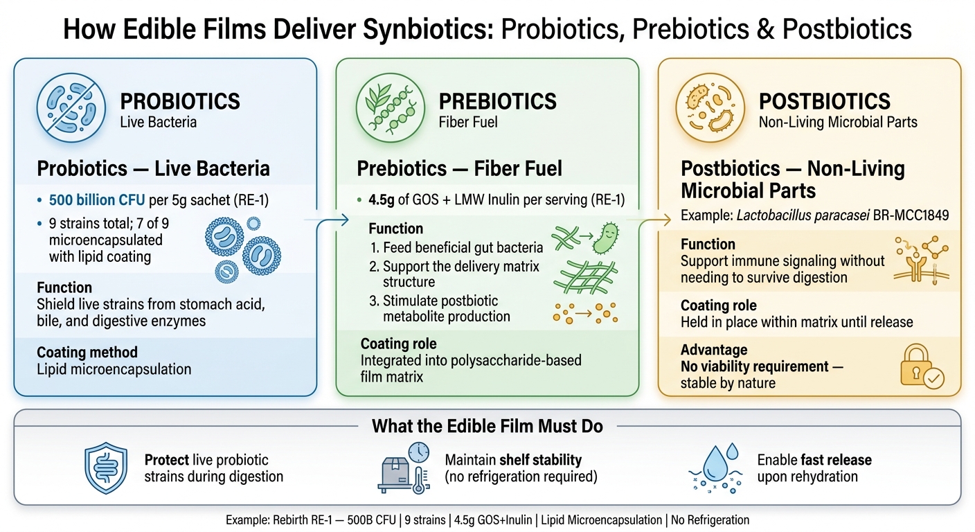 Probiotics vs Prebiotics vs Postbiotics: Edible Film Delivery Roles