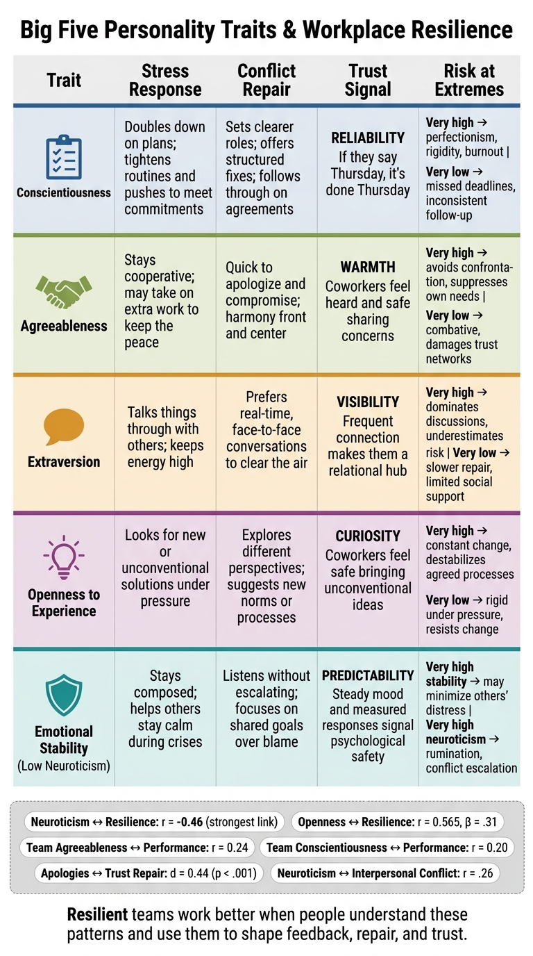 Big Five Personality Traits & Workplace Resilience: A Visual Guide
