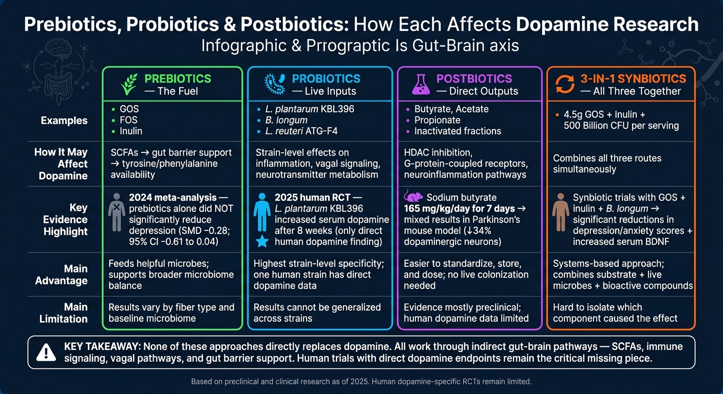 Prebiotics vs Probiotics vs Postbiotics: Dopamine Research Comparison