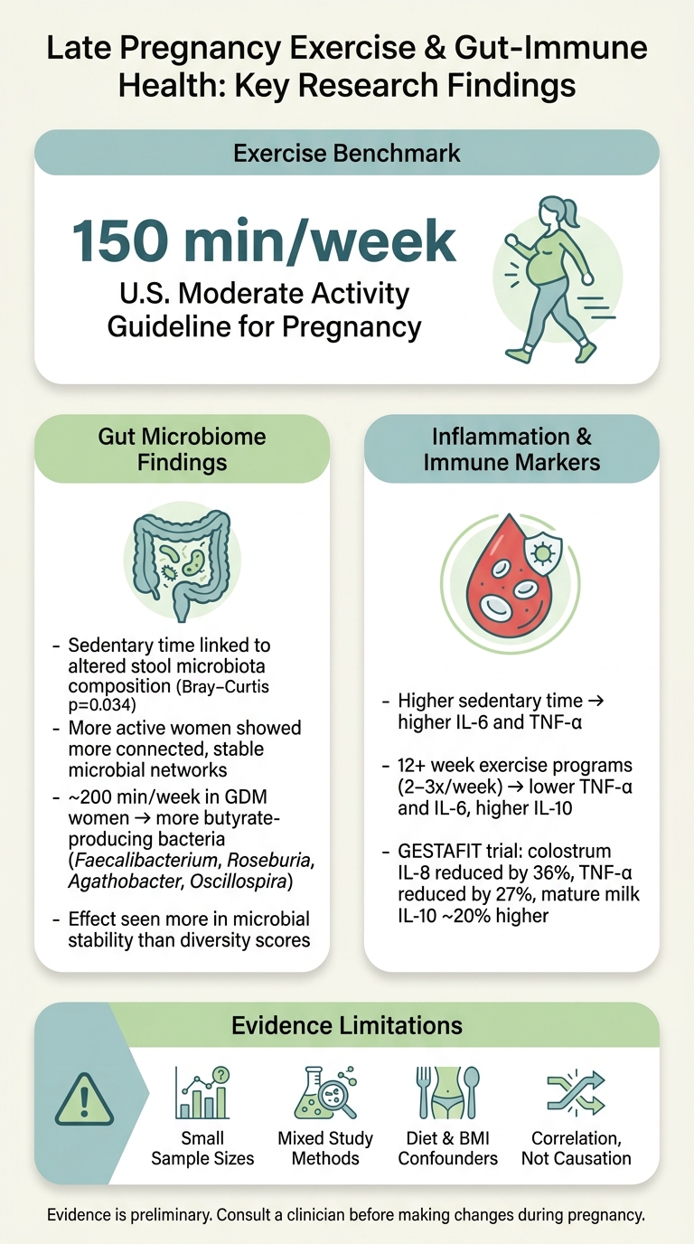 Late Pregnancy Exercise & Gut-Immune Health: Key Research Findings
