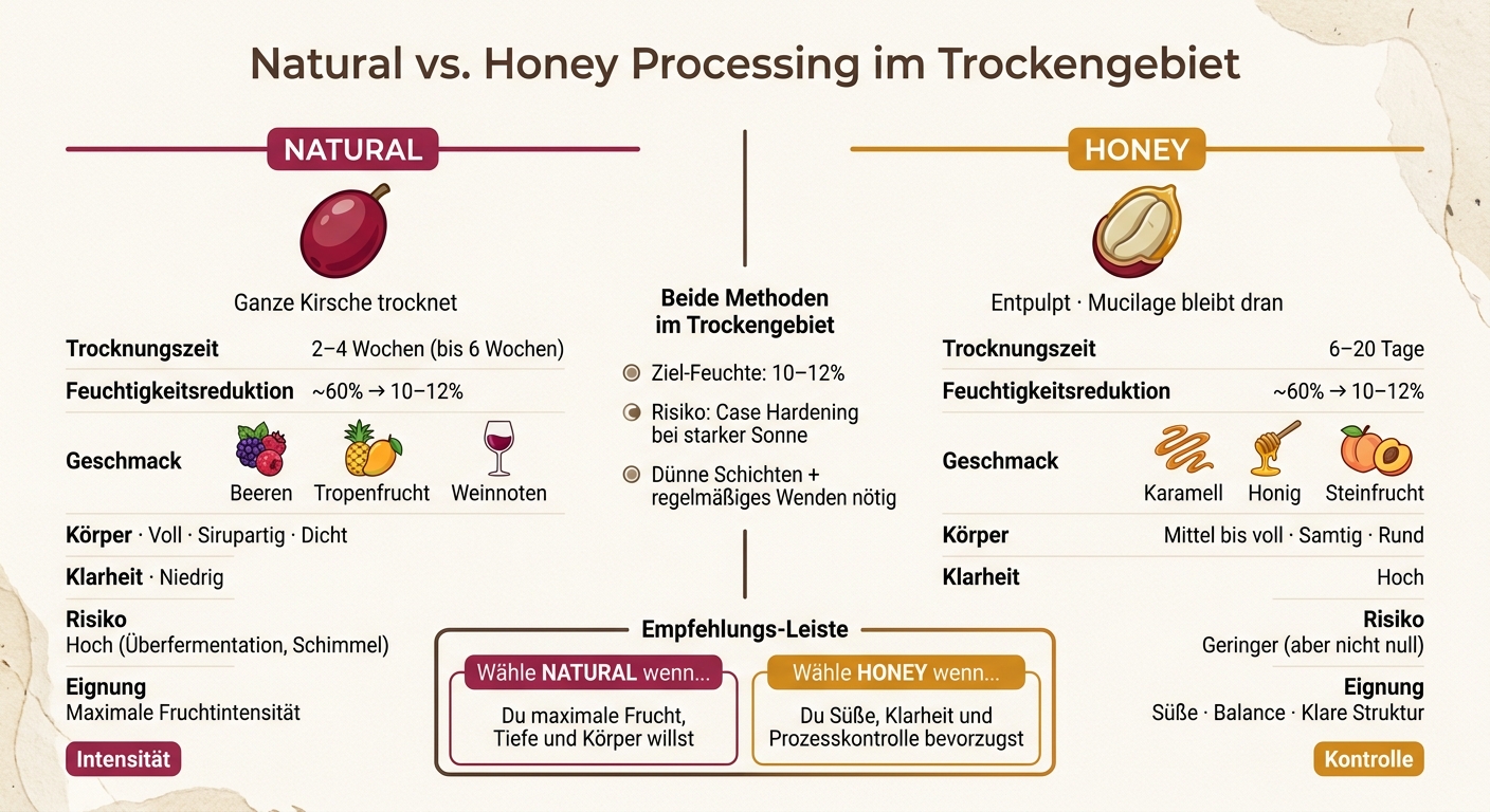 Natural vs. Honey Processing: Trockengebiet Vergleich