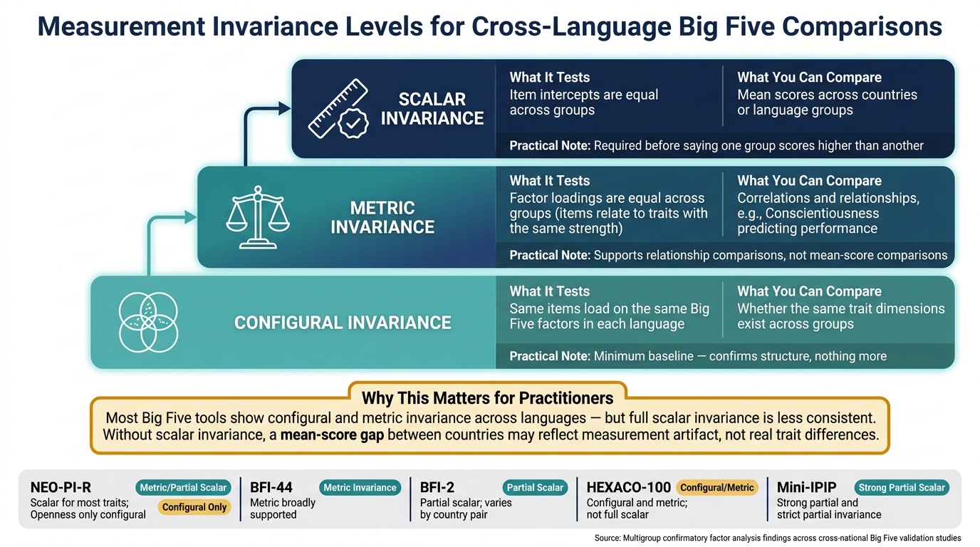 Big Five Score Comparability Across Languages: Invariance Levels Explained