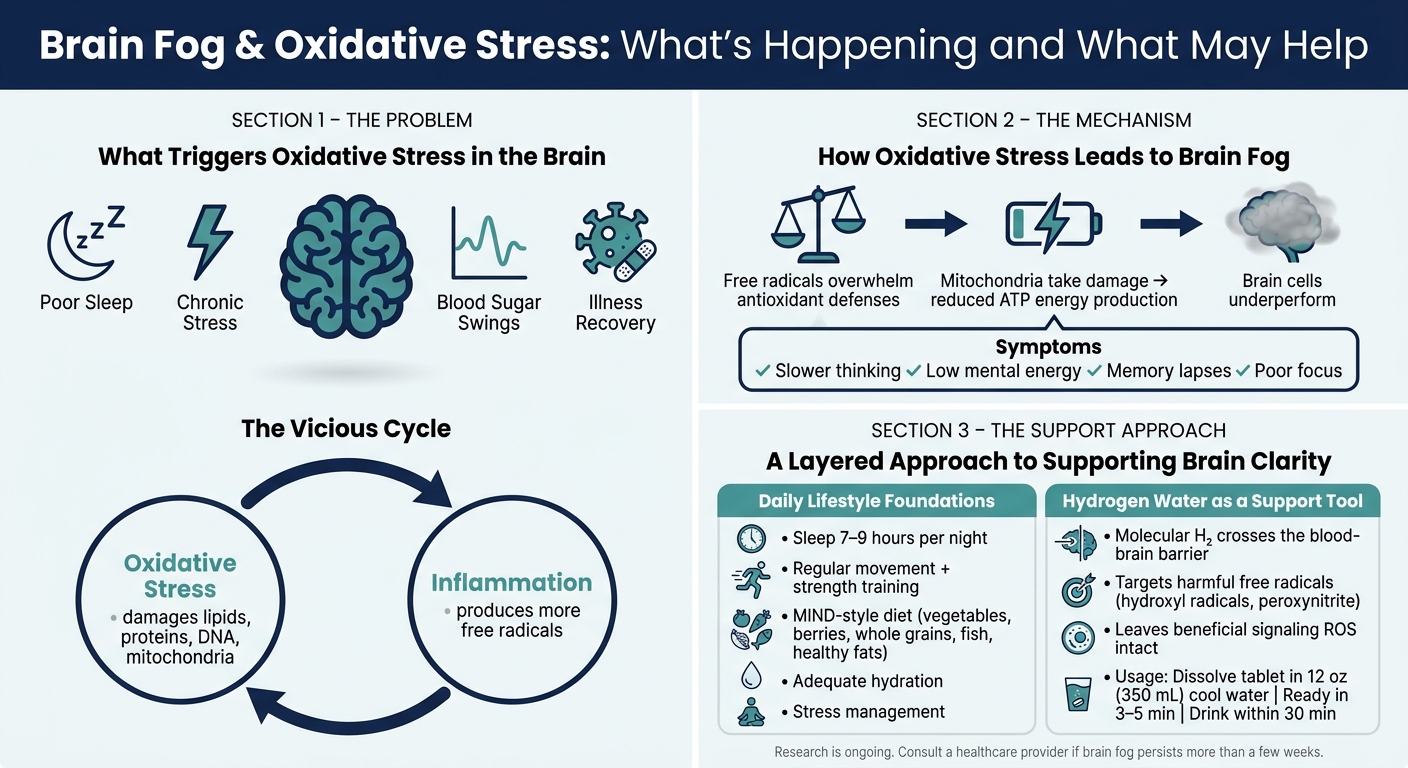 How Oxidative Stress Causes Brain Fog (And What May Help)