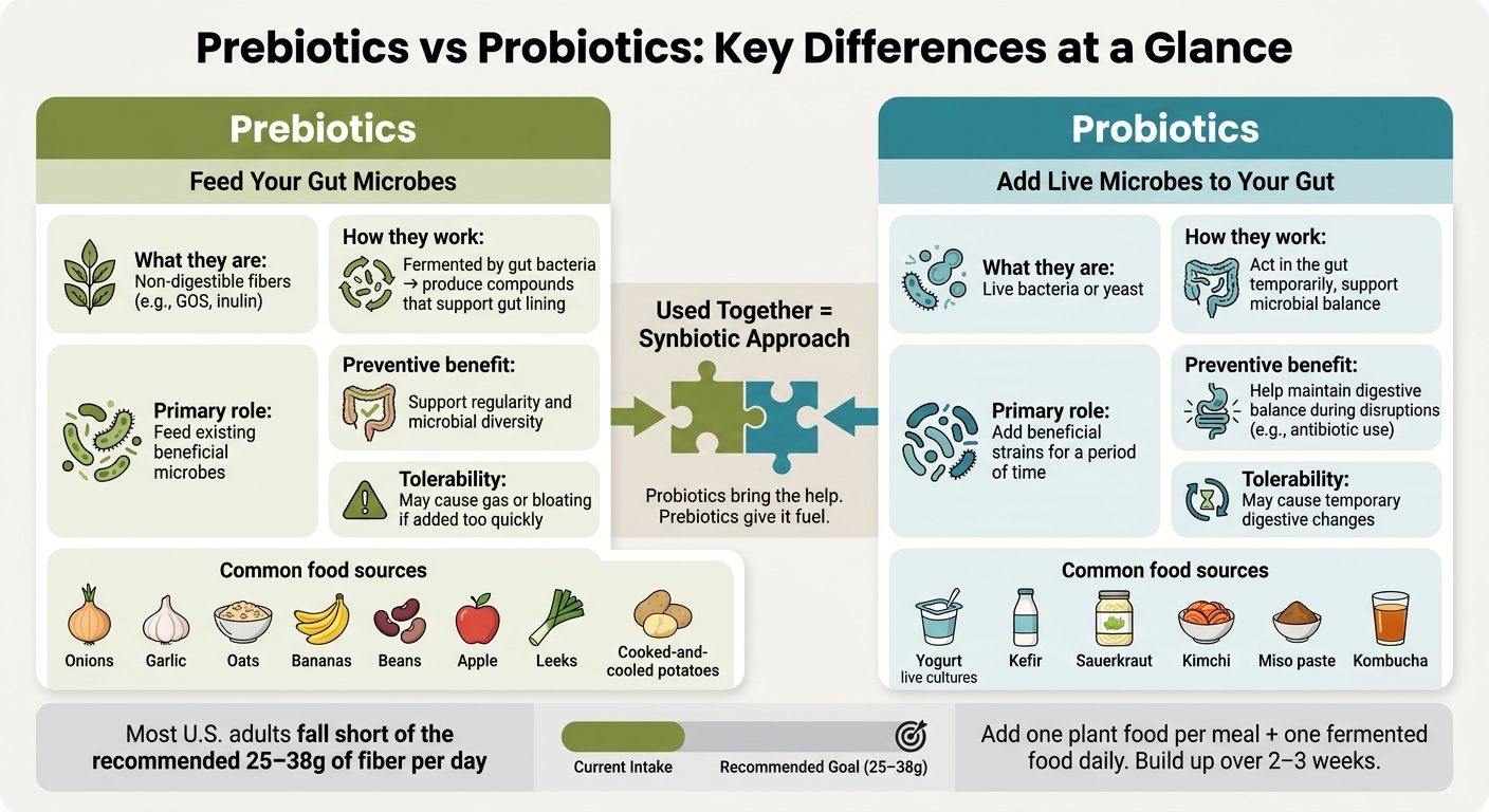 Prebiotics vs Probiotics: Key Differences at a Glance