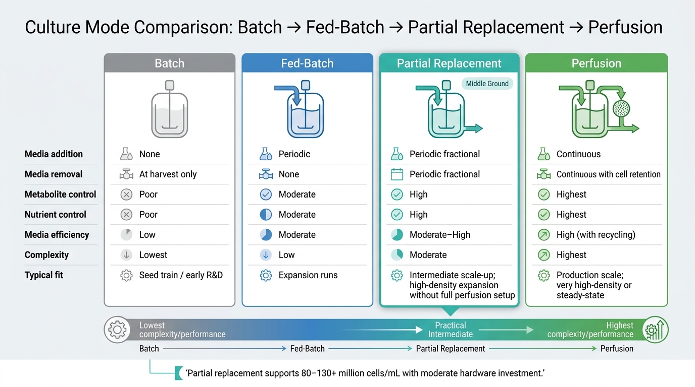 Batch vs Fed-Batch vs Partial Replacement vs Perfusion: Cultivated Meat Culture Modes Compared