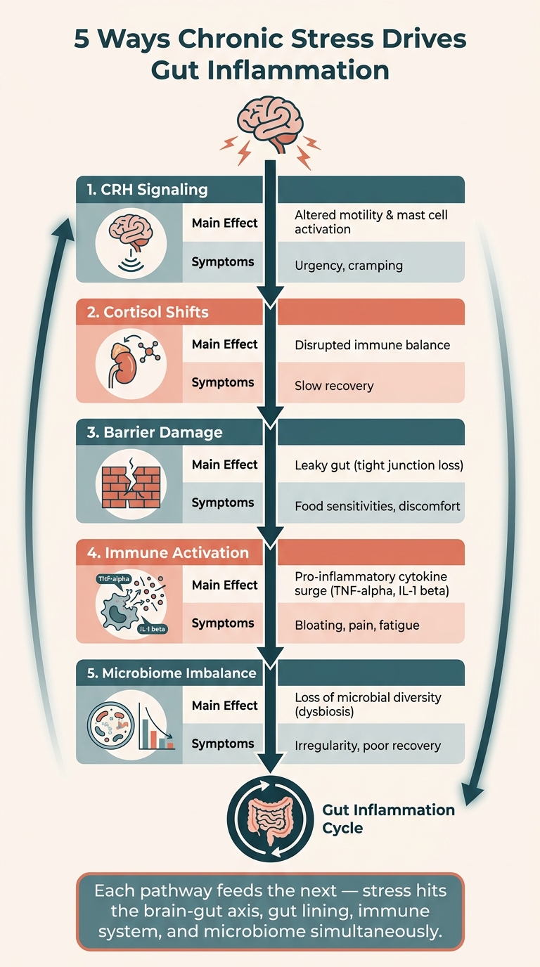 5 Ways Chronic Stress Drives Gut Inflammation