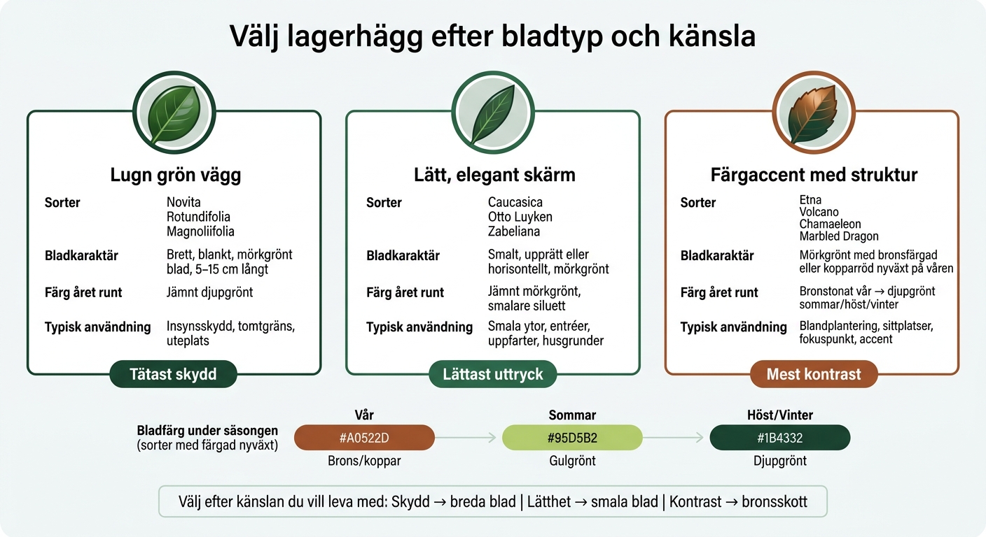 Lagerhägg Sorter: Bladtyp, Färg och Användning