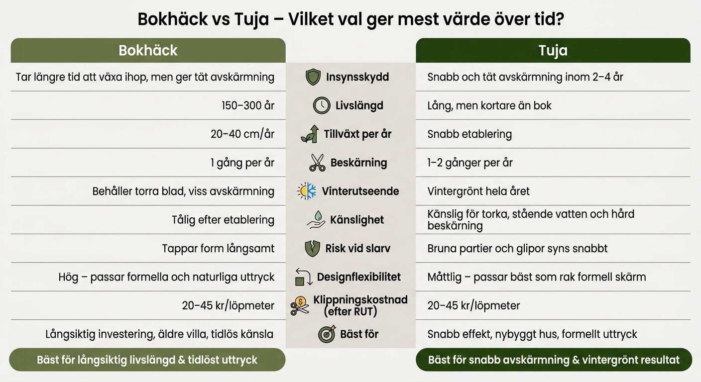 Bokhäck vs Tuja: Jämförelse för långsiktigt värde
