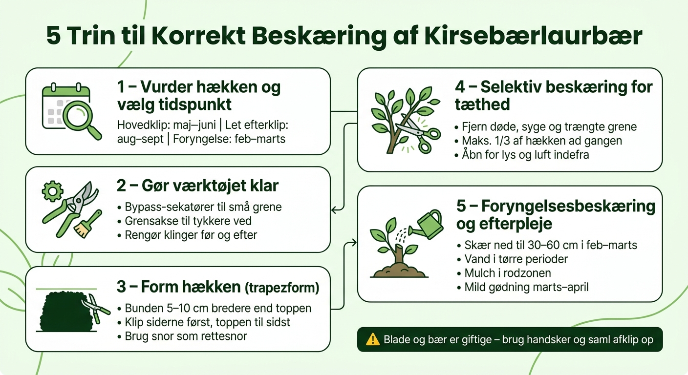 5 Trin til Korrekt Beskæring af Kirsebærlaurbær