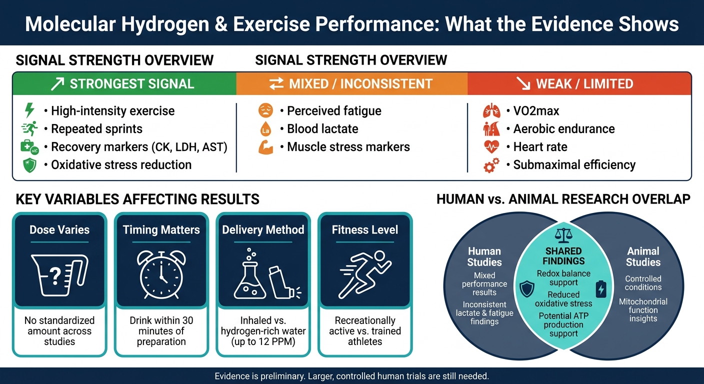 Molecular Hydrogen & Exercise Performance: What the Evidence Shows