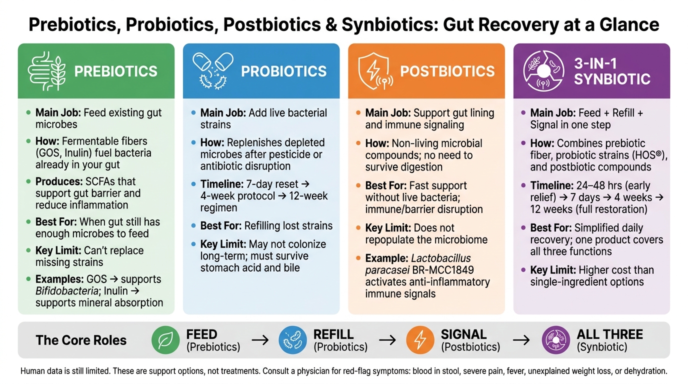 Prebiotics vs Probiotics vs Postbiotics vs Synbiotics: Gut Recovery Comparison