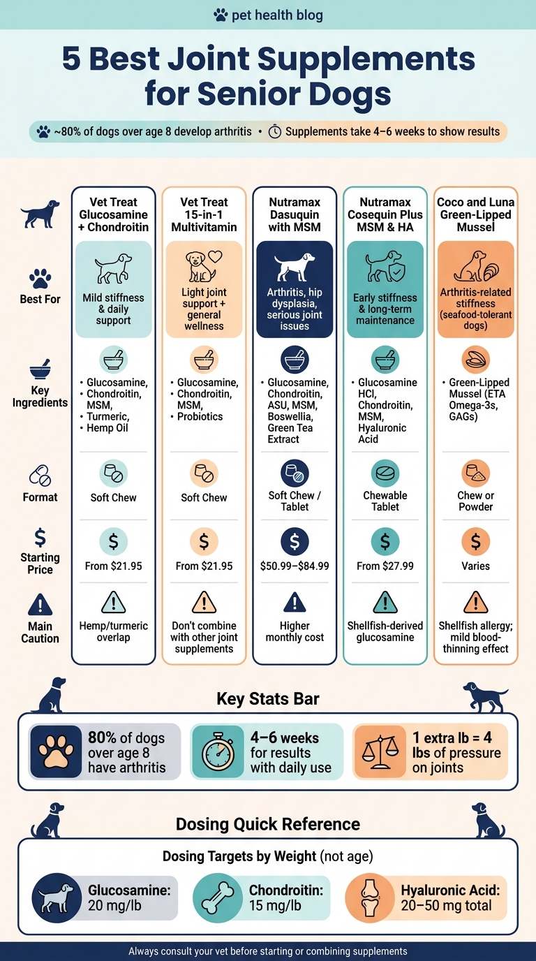 5 Best Joint Supplements for Senior Dogs: Side-by-Side Comparison