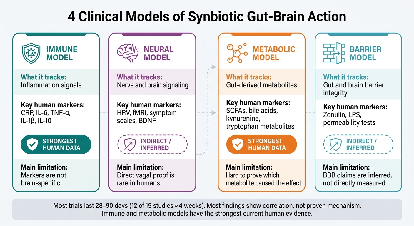 4 Synbiotic Gut-Brain Models: Evidence Strength Compared