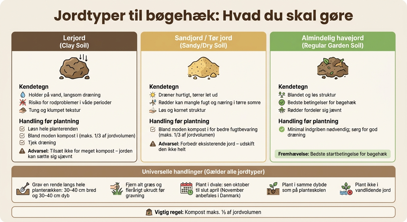 Jordtyper til bøgehæk: Hvad du skal gøre