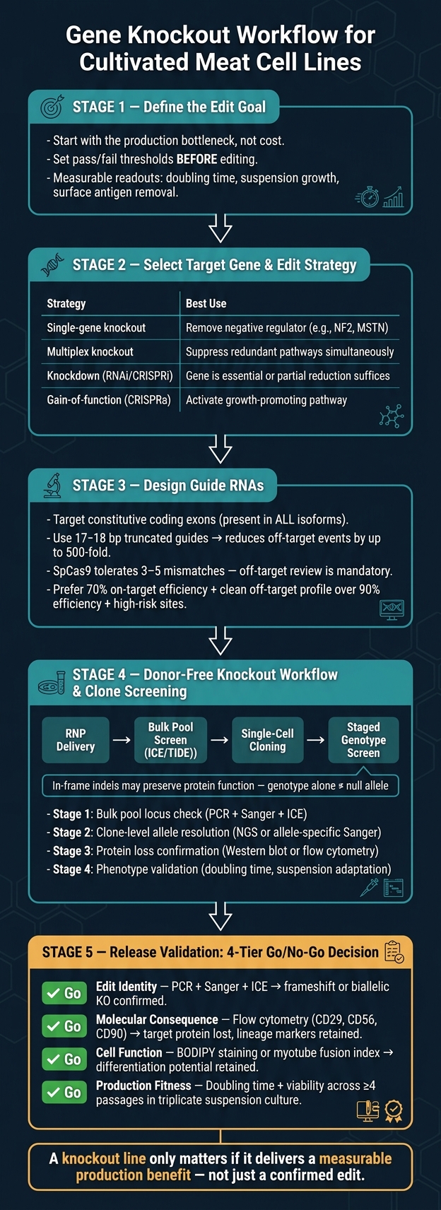 Gene Knockout Workflow for Cultivated Meat Cell Lines
