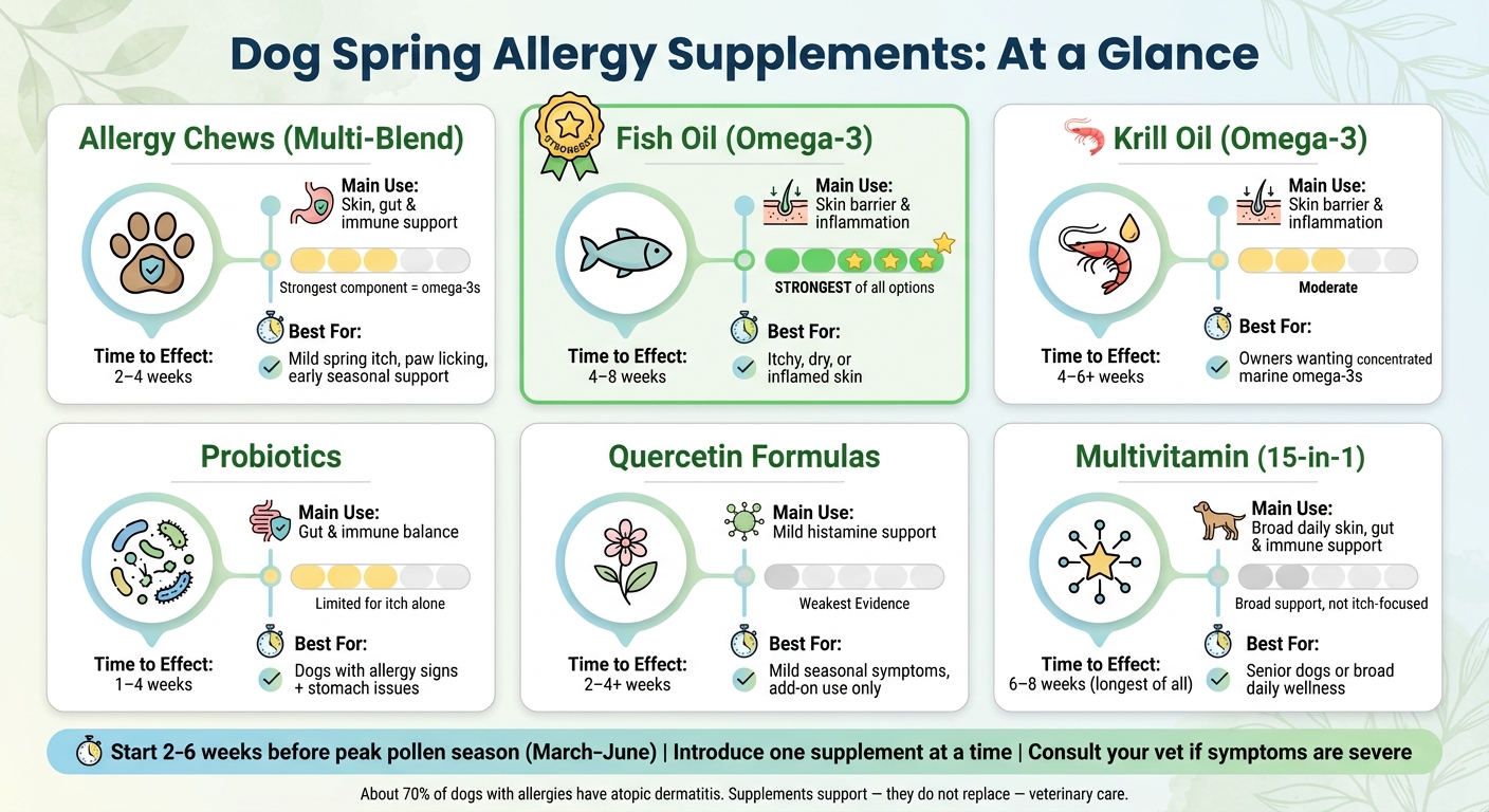 Dog Allergy Supplements Compared: Evidence, Timing & Best Use
