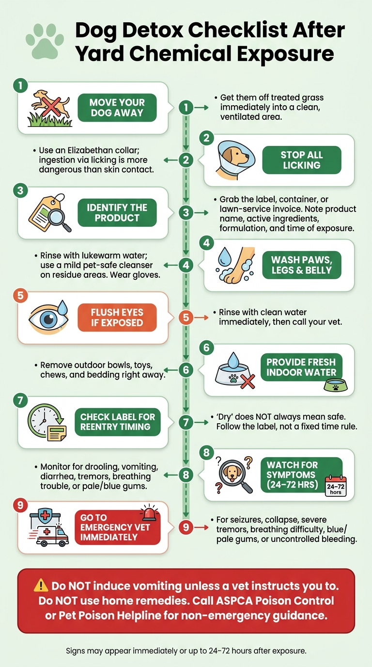 Dog Detox Checklist: What to Do After Lawn Chemical Exposure
