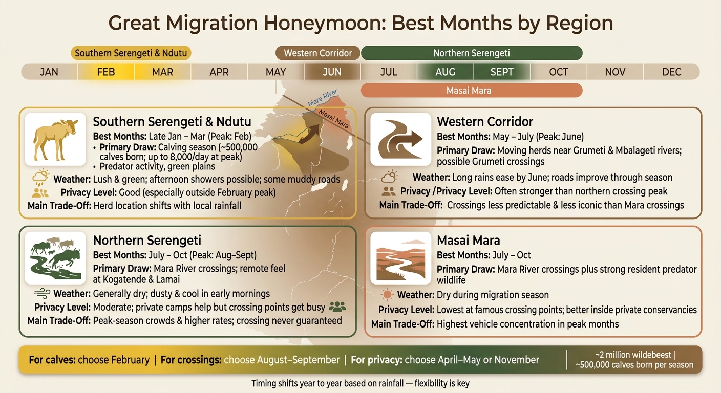 Great Migration Honeymoon: Best Months by Region at a Glance