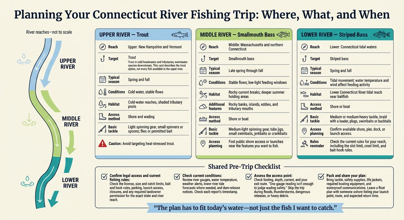 Connecticut River Fishing: Where, When, and What to Target