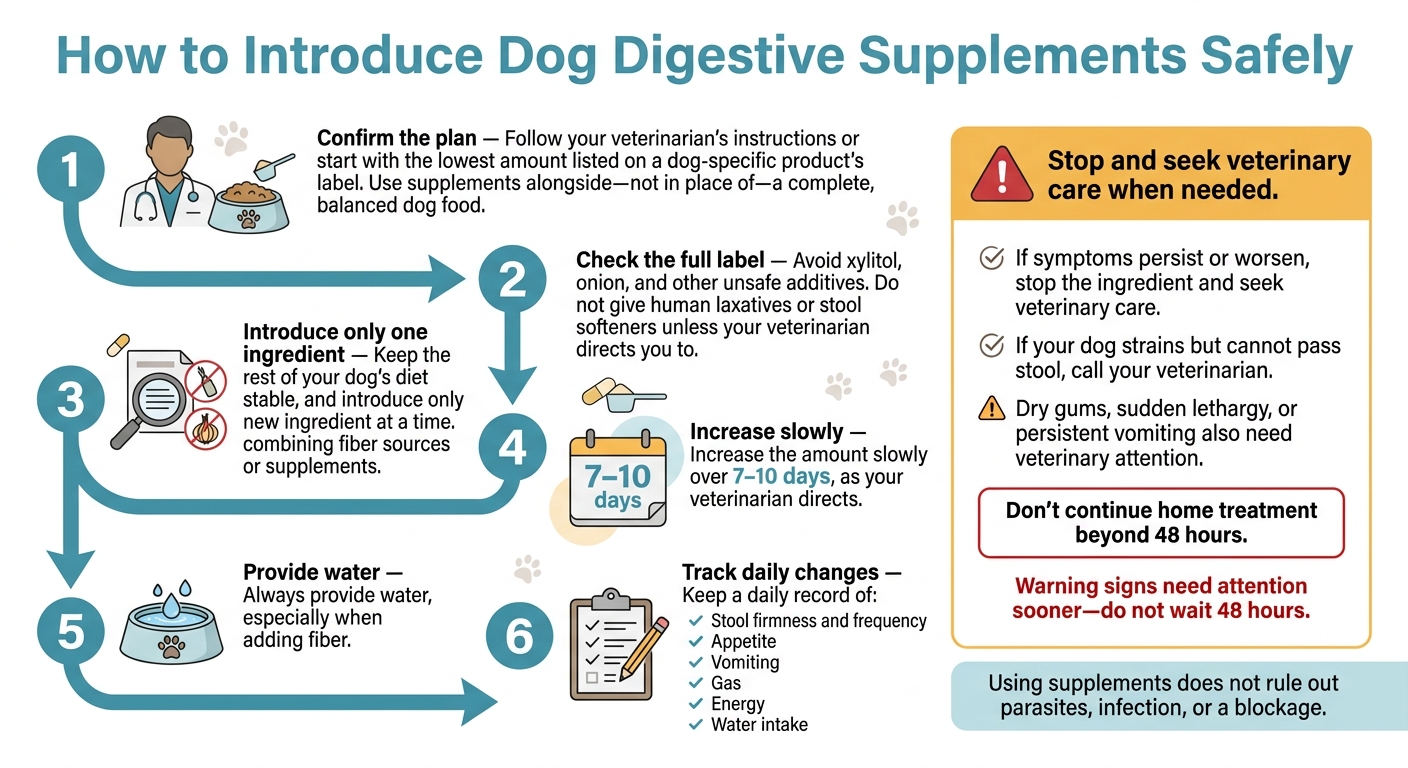 How to Introduce Dog Digestive Supplements Safely