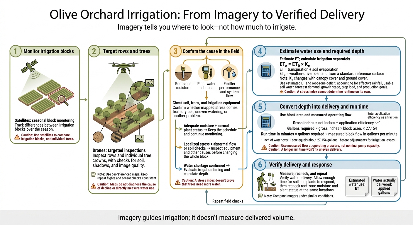 Olive Orchard Irrigation: From Imagery to Verified Delivery