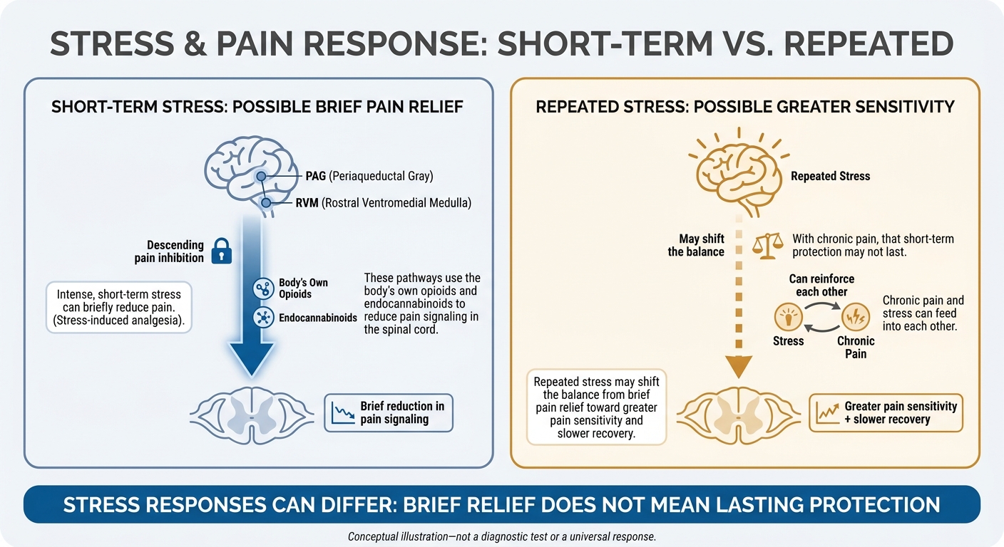 Stress and Chronic Pain: Short-Term Relief vs. Repeated Stress
