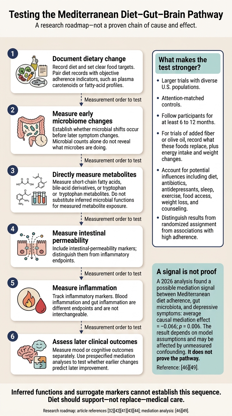 Testing the Mediterranean Diet–Gut–Brain Pathway