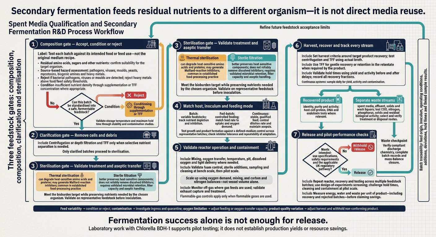 Spent Media Secondary Fermentation: From Feedstock to Release