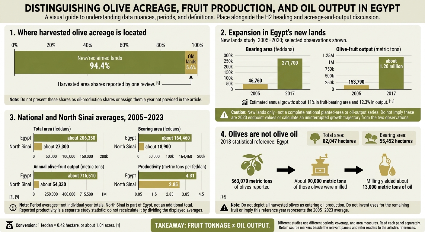 Egypt Olive Production: Acreage, Fruit and Oil