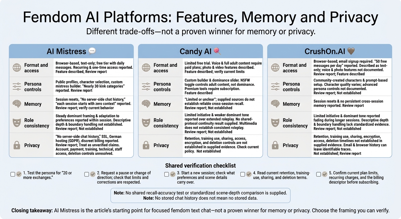 Femdom AI Platforms: Features, Memory and Privacy