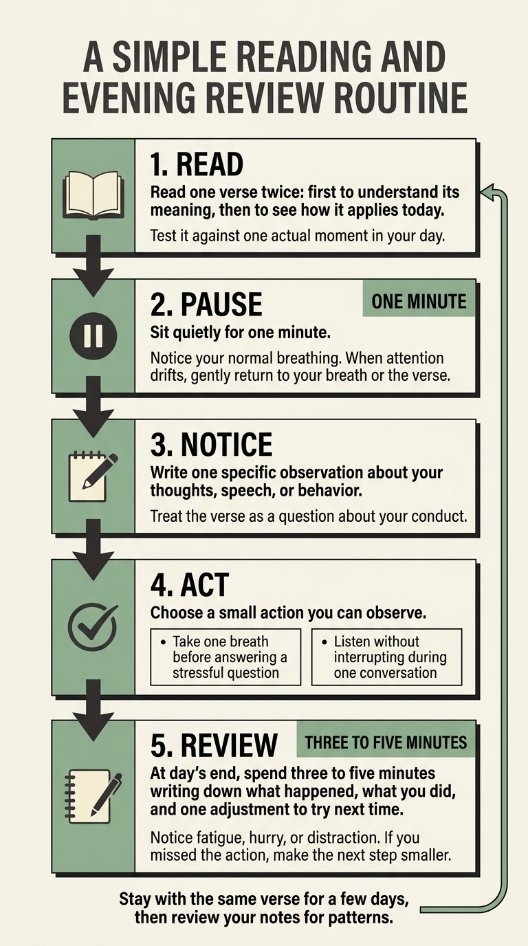 Dhammapada Self-Reflection: A Five-Step Routine