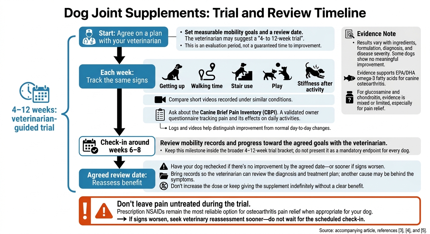Dog Joint Supplements: Trial and Review Timeline