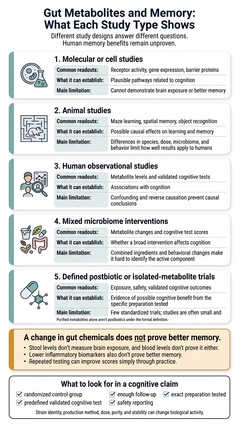 Gut Metabolites and Memory: What Each Study Type Shows