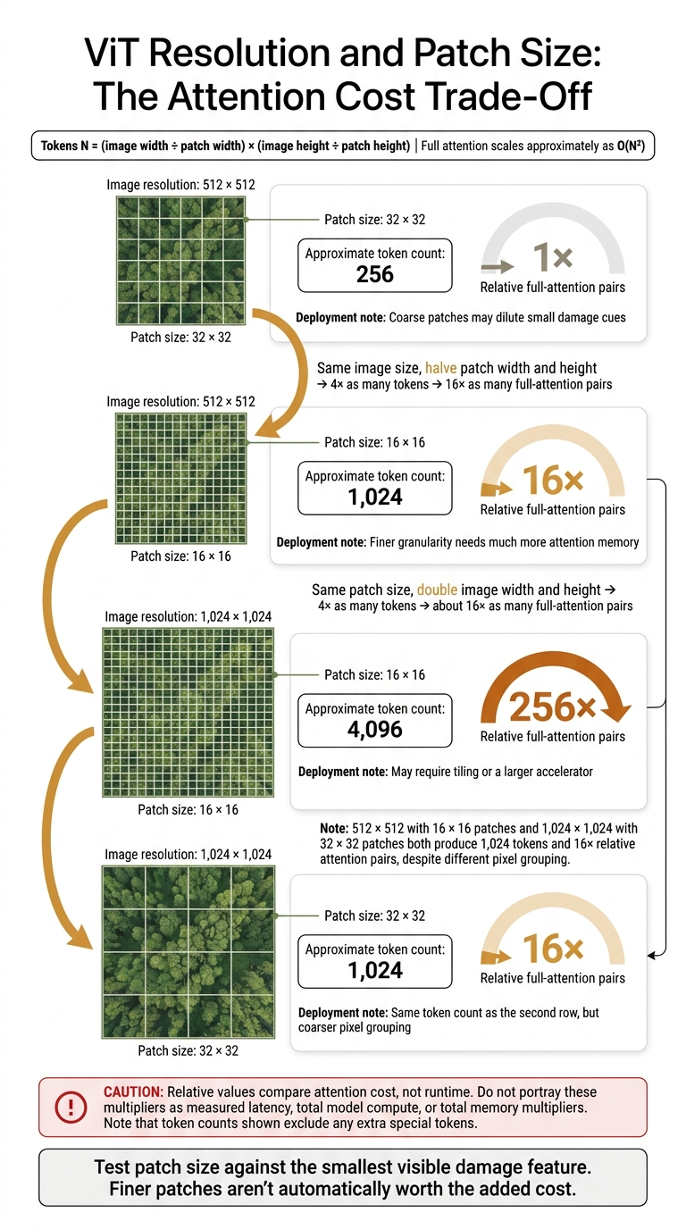 ViT Resolution and Patch Size: The Attention Cost Trade-Off