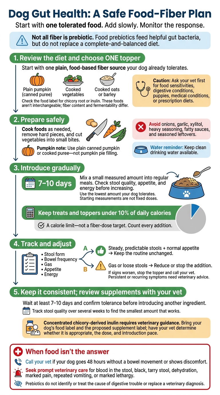Dog Gut Health: A Safe Food-Fiber Plan