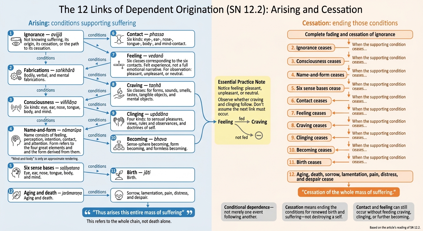 SN 12.2: The 12 Links of Dependent Origination