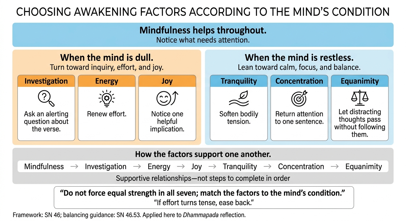 Seven Awakening Factors: Balancing Dullness and Restlessness