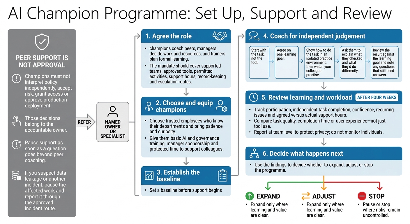 AI Champion Programme: Set Up, Support and Review