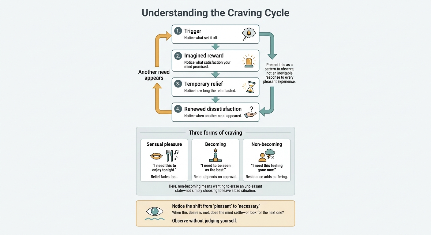 The Craving Cycle: From Trigger to Dissatisfaction
