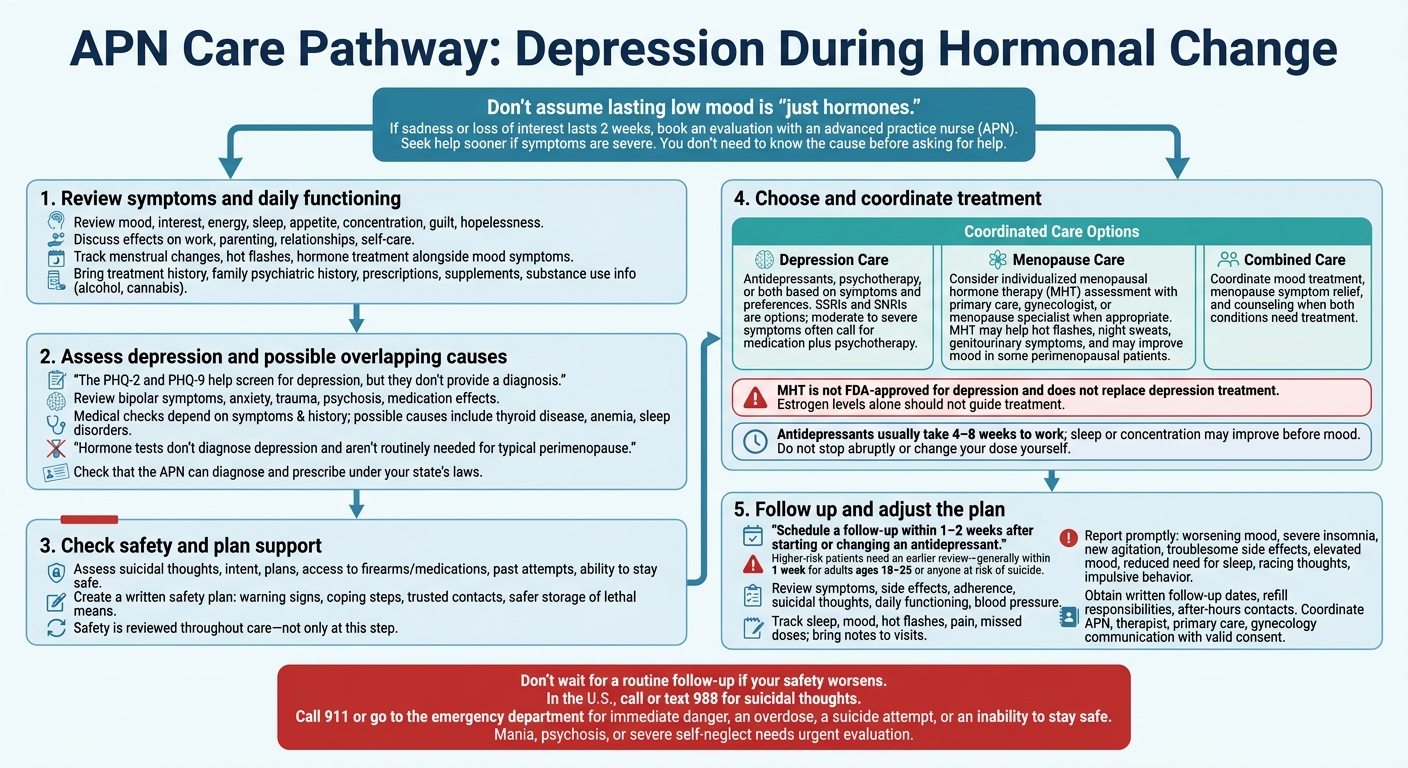 Hormonal Changes and Depression: Your APN Care Plan