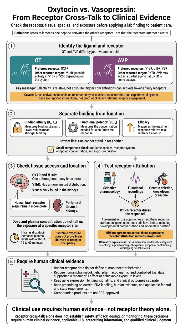 Oxytocin vs. Vasopressin: From Receptor Cross-Talk to Clinical Evidence