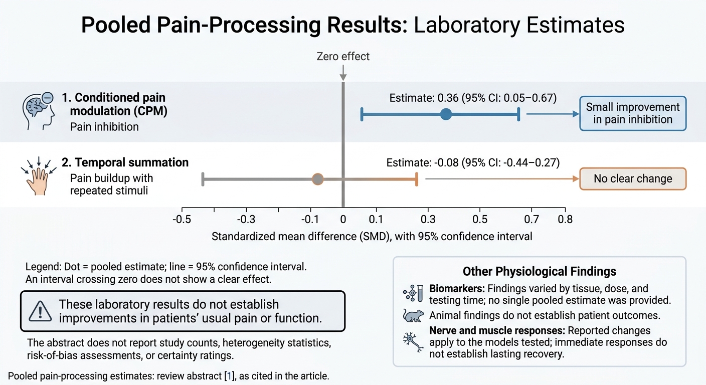 Dry Needling: Pain Processing Effects Explained