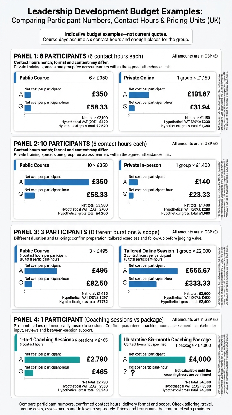 Leadership Training vs Coaching: UK Budget Examples