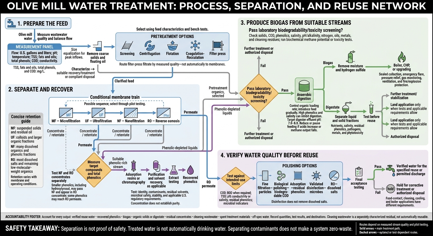 Olive Mill Water Treatment: Recovery, Biogas, and Reuse