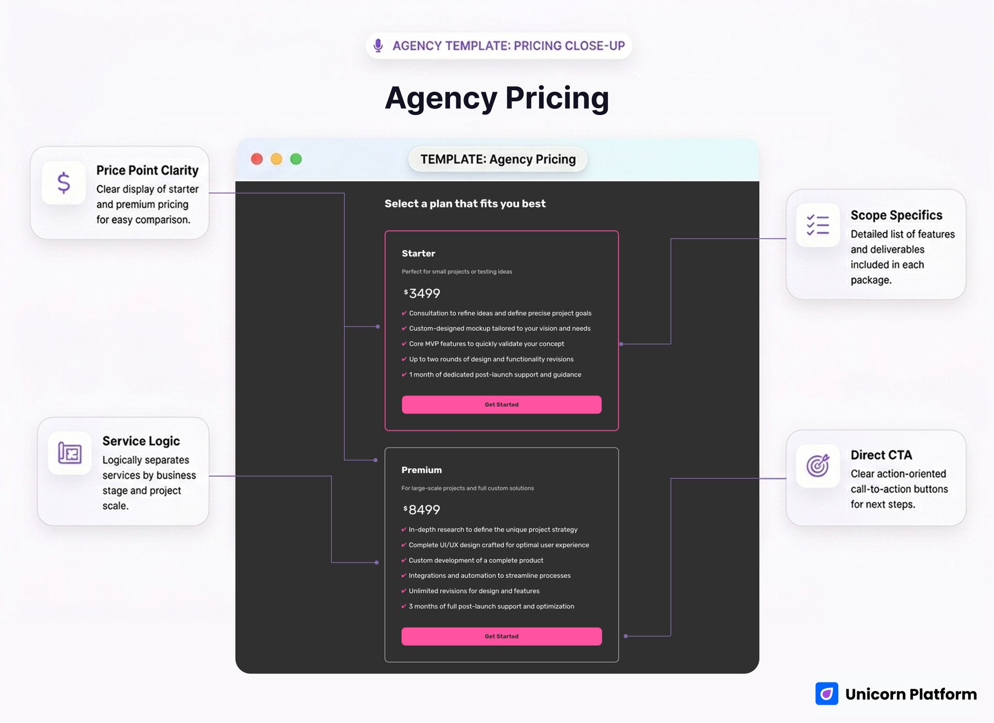 Agency pricing cards showing starter and premium packages with scope details