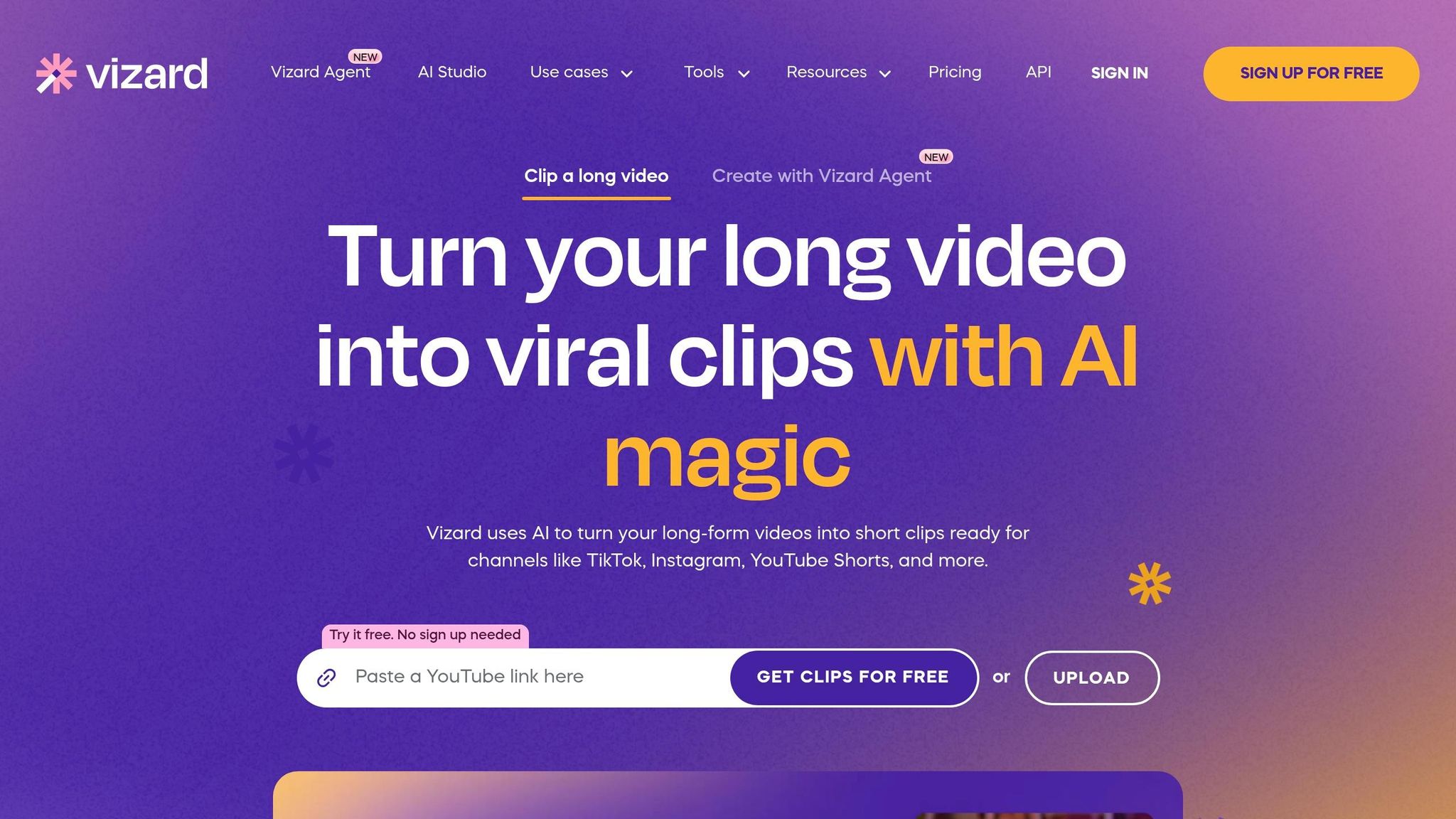Vizard