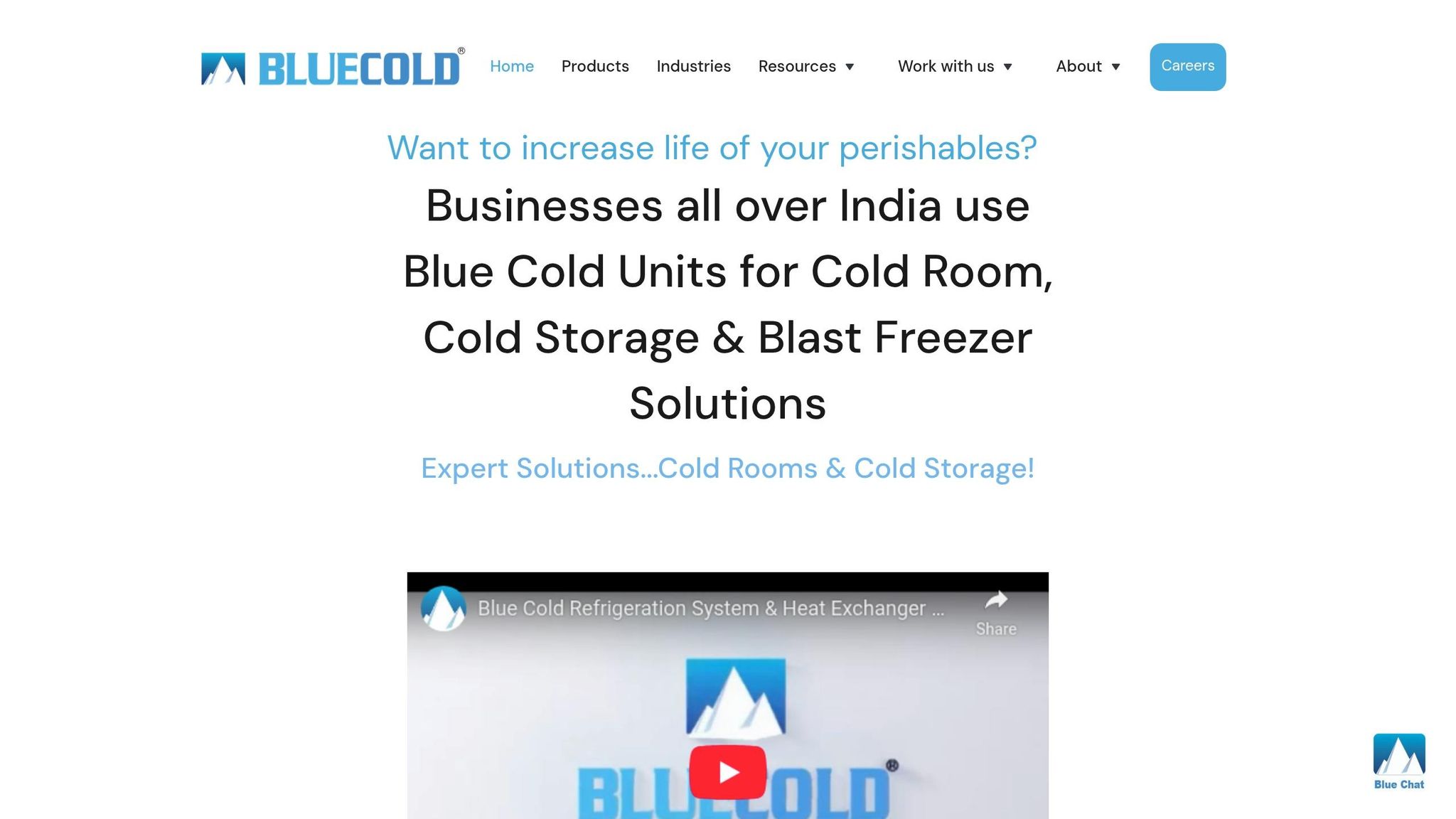 Blue Cold Refrigeration ammonia vs freon