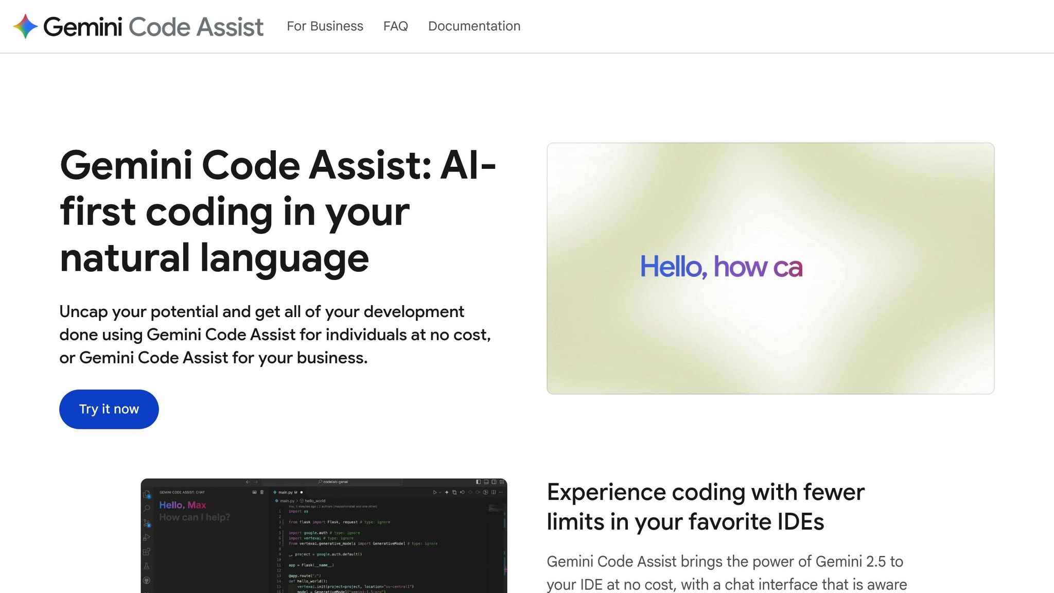 Google Gemini Code Assist