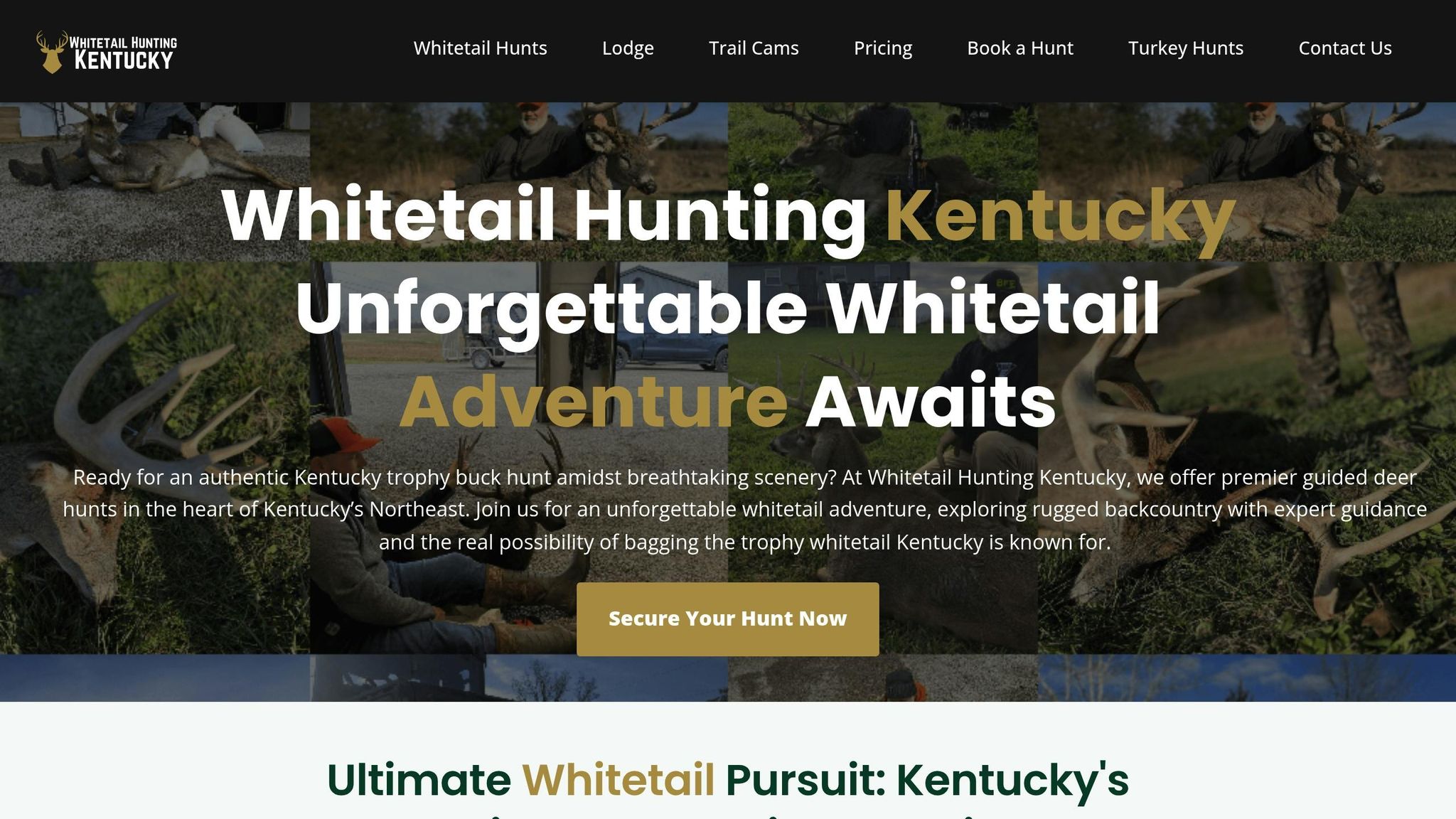 Whitetail Hunting Kentucky