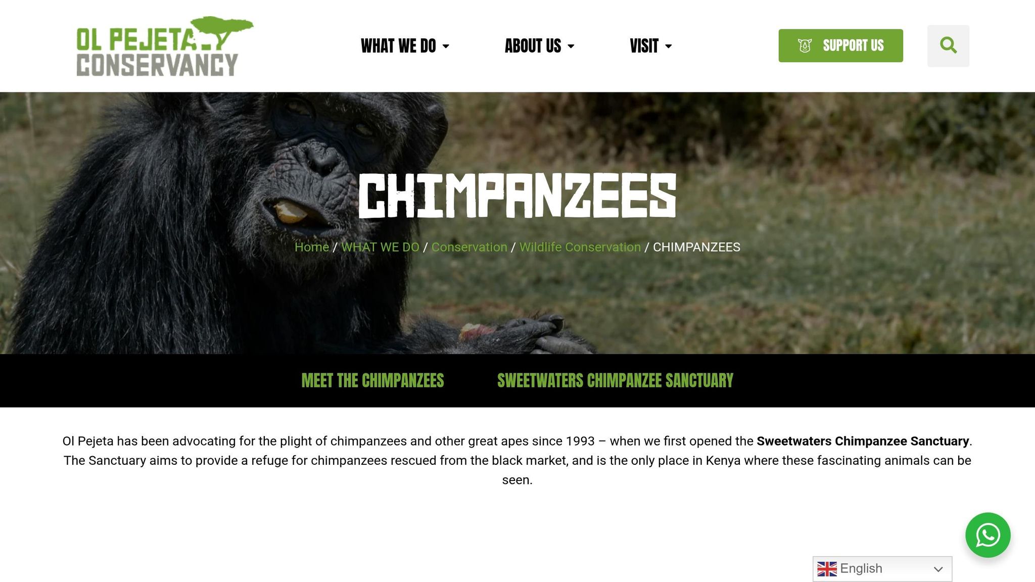 Sweetwaters Chimpanzee Sanctuary